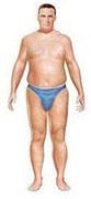 Fat