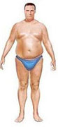 Fat